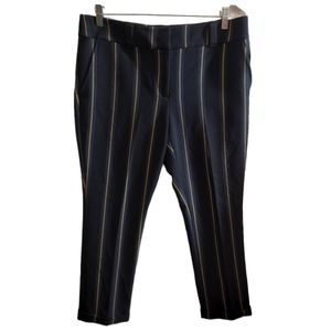 Loft Women's Strip Trouser Pants Petite